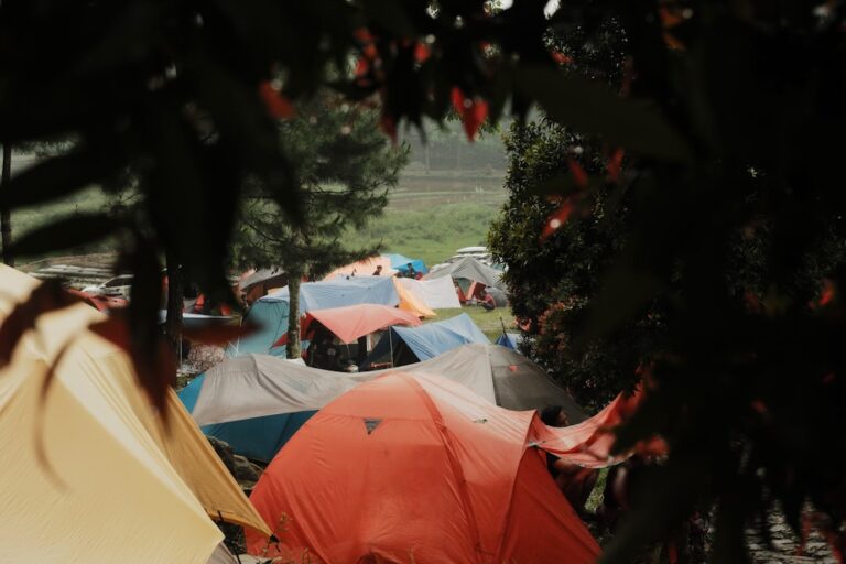Essential Gear for Your Next Camping Trip
